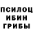 Псилоцибиновые грибы Psilocybe Ivan AWD