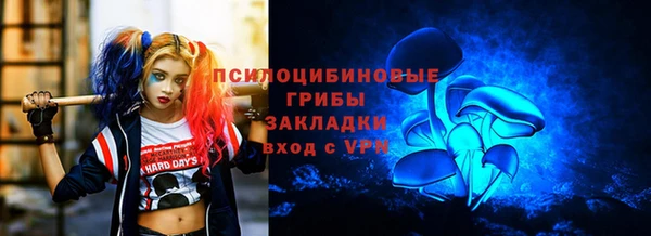 мдпв Алзамай