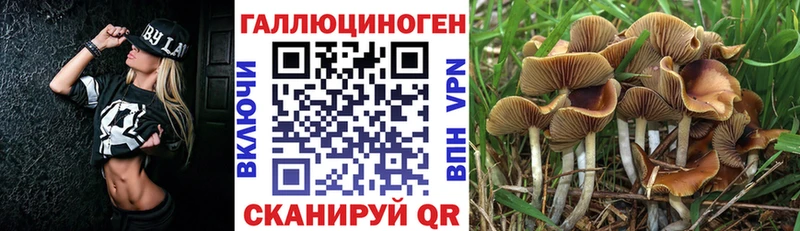 Галлюциногенные грибы мицелий  Юрьев-Польский 